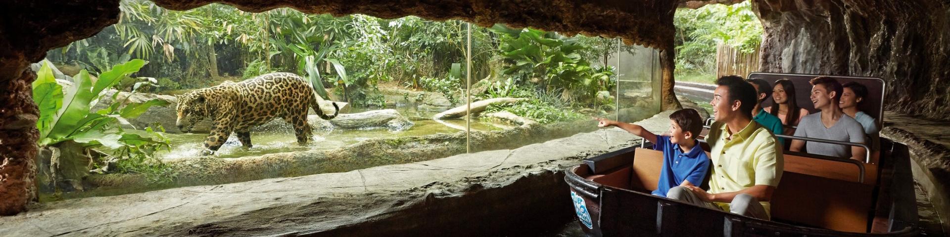 River Safari – rzeczna przygoda dla najmłodszych podróżników